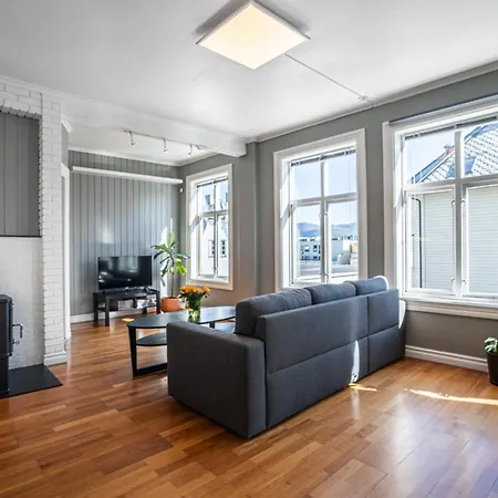 Sunny In Apartment Alesund